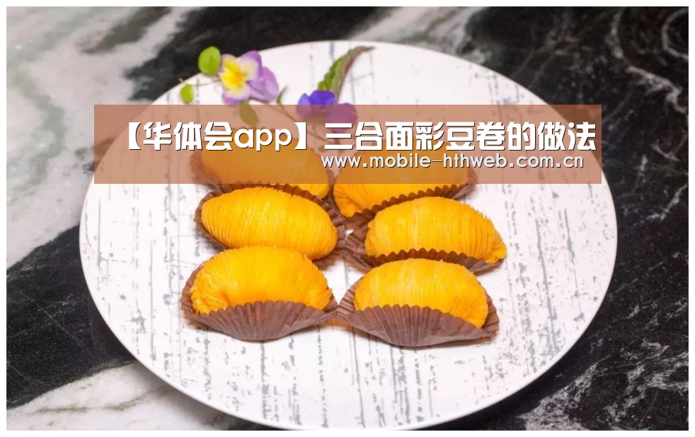 华体会官方网站入口