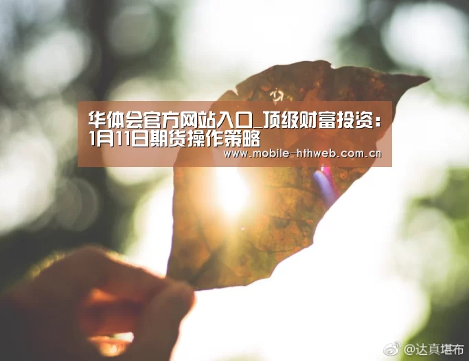 华体会官方网站入口_顶级财富投资:1月11日期货操作策略(图2) 华体会棋牌