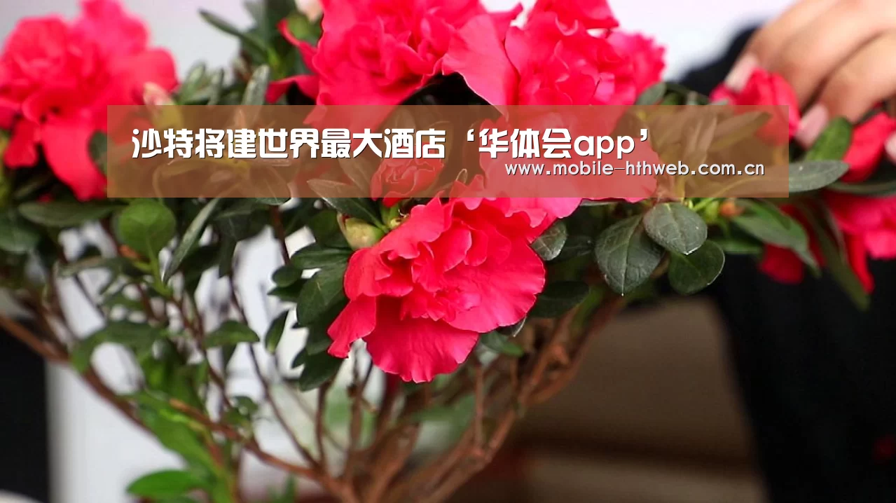 沙特将建世界最大酒店‘华体会app’(图2) 华体会体育app下载